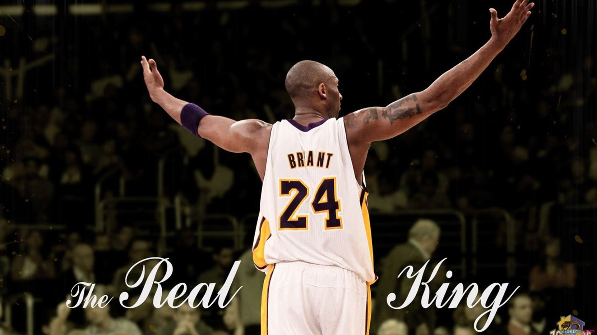 LCK全面试点电竞医疗保障联合机制,电竞医疗工作者是什么