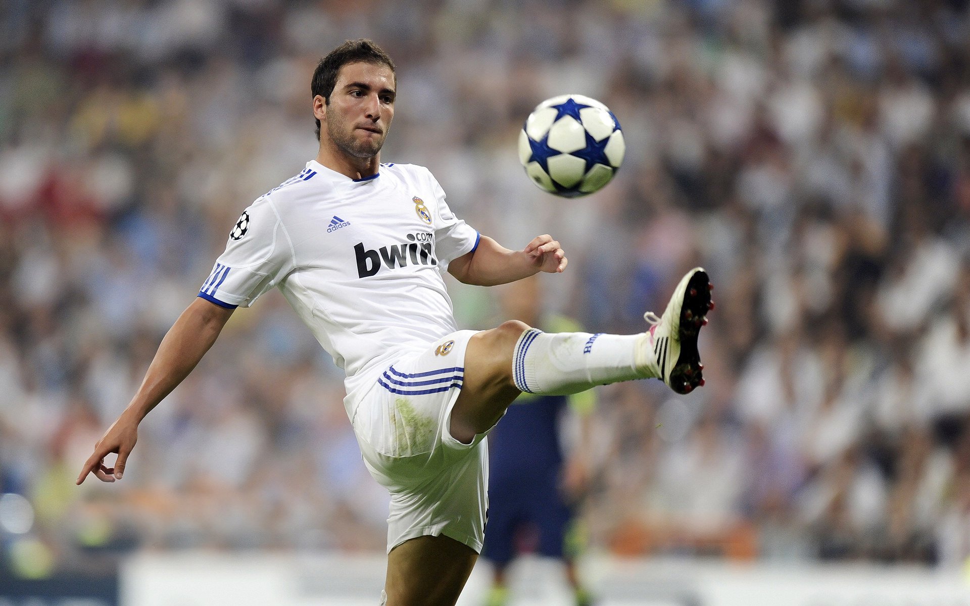 开云网站-阿根廷国家队队长缺席比赛，球队面临巨大挑战，阿根廷国家队的队长