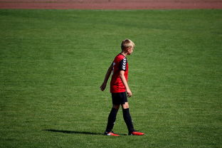 开云官网-NBA球员高原训练对平原比赛状态的影响，平原运动员进行高原训练原因