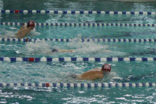 kaiyun-世界短池游泳锦标赛多项世界纪录诞生，第一届世界短池游泳锦标赛